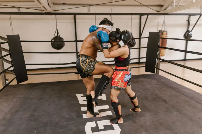 Lock, Control, Destroy: A Fighter's Guide to Dominating the Clinch Range