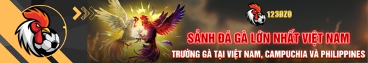 Banner Cá cược bóng đá ⭐️ Giải mã – Soi kèo nhà cái hôm nay